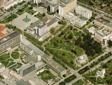 «Δεν είναι δυνατόν να είναι όλοι απόφοιτοι Πανεπιστημίων» δηλώνει ο πρύτανης του ΑΠΘ